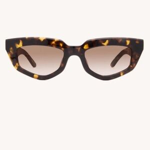 Dezi on read classic tortoise brown sunglasses